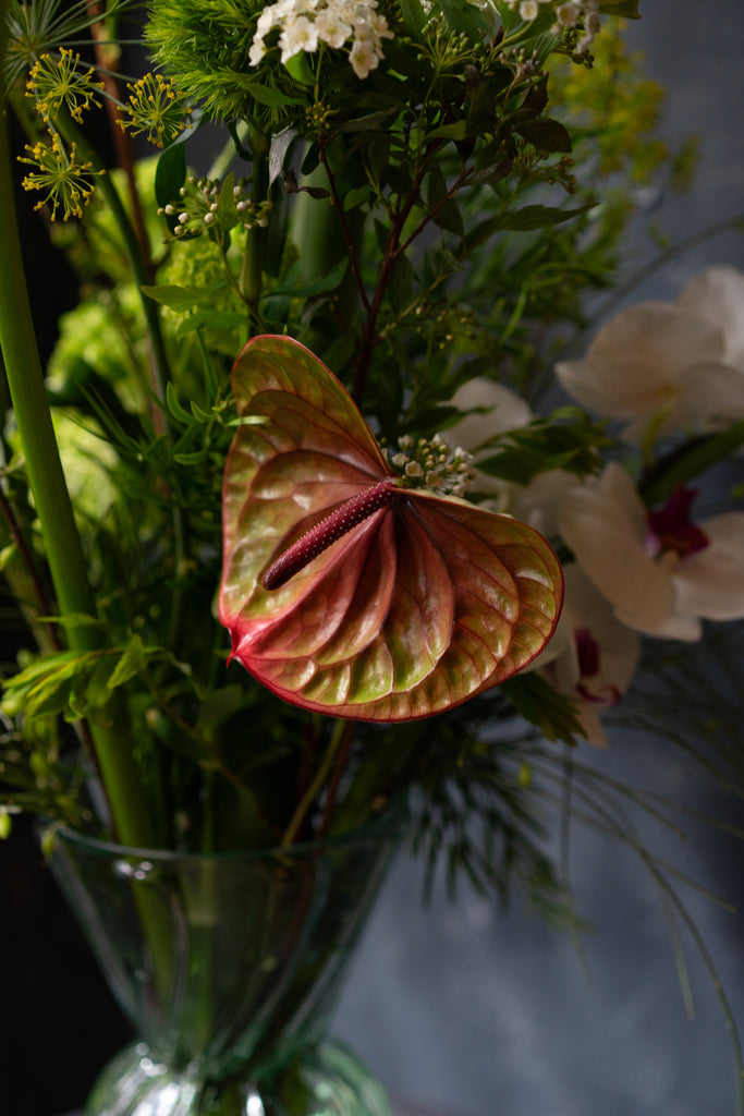 BonBon Spring Bouquet in Glass Vase thumbnail