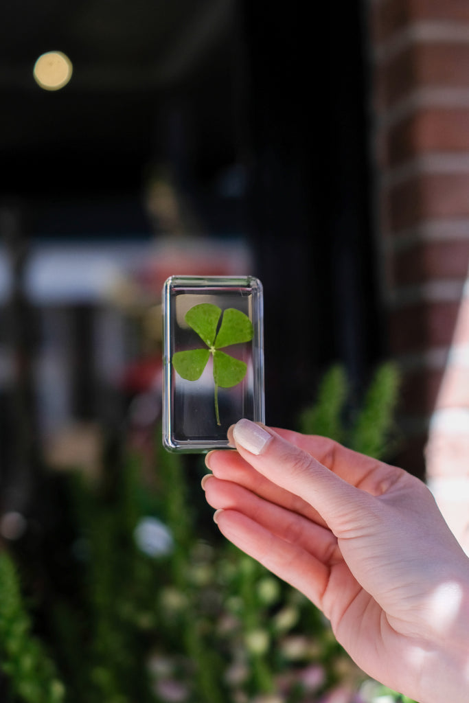 Cube Lucky Clover