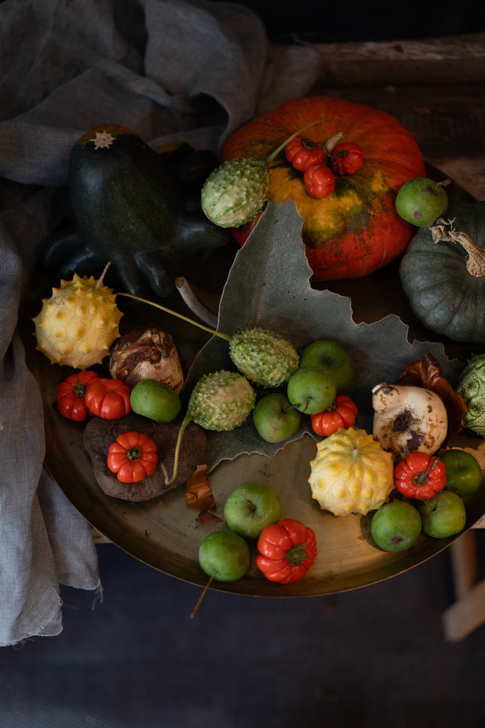 Harvest Still Life – Pumpkins, Bulbs & Ornamental Vegetables | From thumbnail