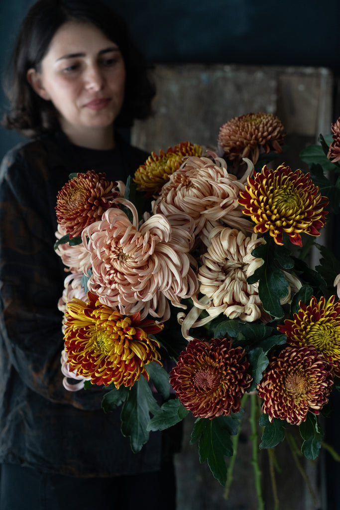 Fall Chrysanthemum | Starting from;