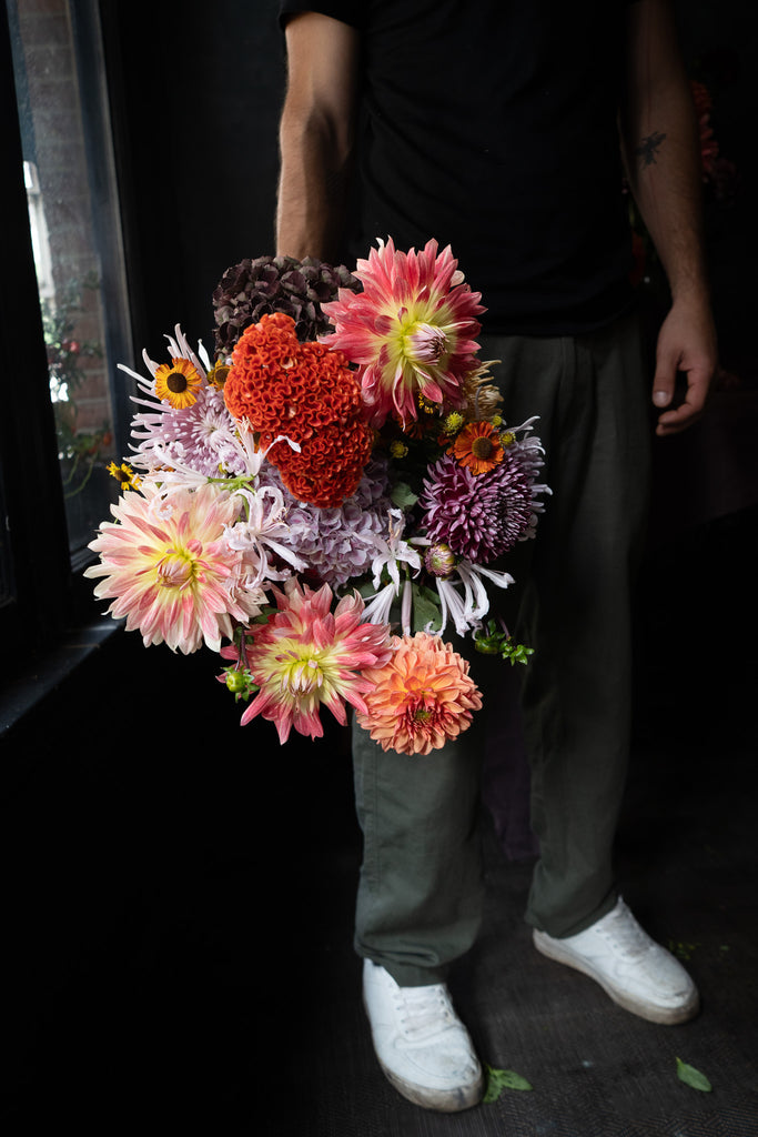 Dahlia Brights | Starting from; thumbnail