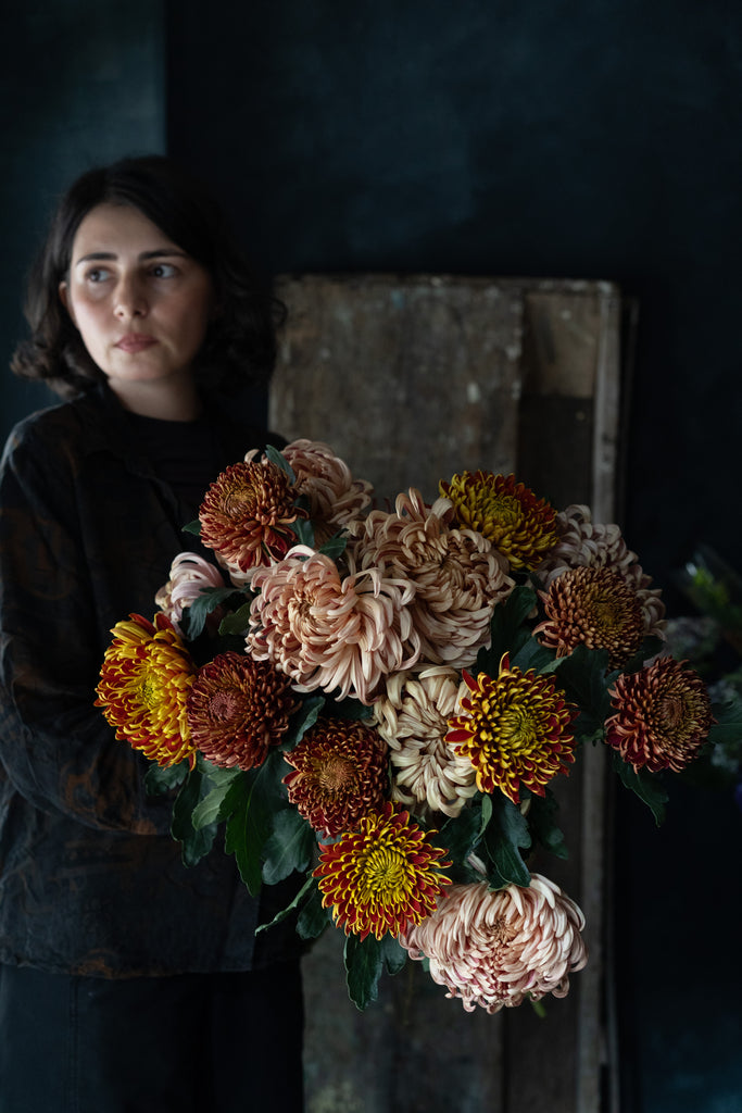 Fall Chrysanthemum | Starting from; thumbnail