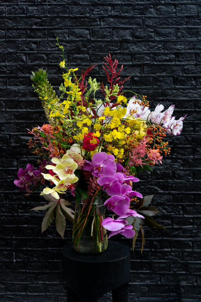 Betoverende Orchideeën in Kleur | Vanaf thumbnail
